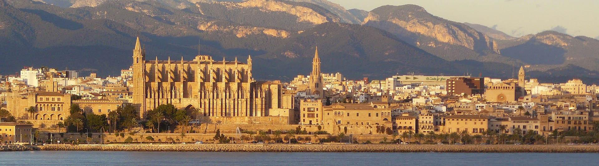 Palma Bild 1