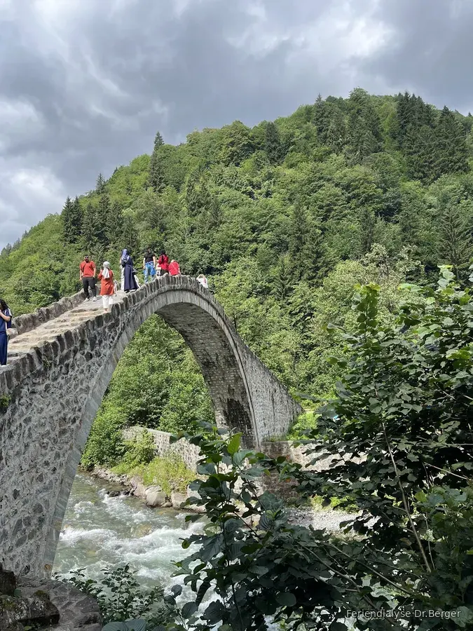 Özel Lifos Diyalis Merkezi  Küçükali Mah. Kartal