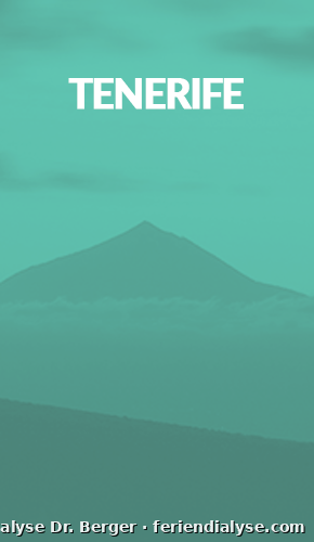 Puerto de Santiago Bild 4