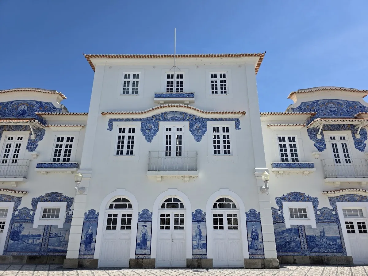 Aveiro Portugal Bild 7