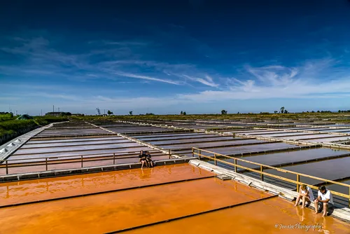 Aveiro Portugal Bild 3